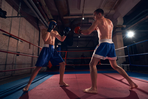Two athlete sportsmen boxers exercising boxing in ring at sport club - Photo, Image