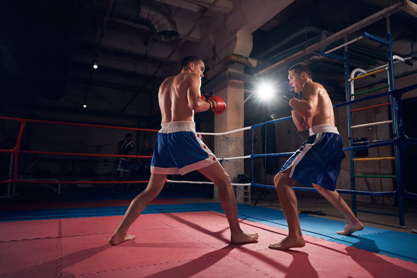 Two athlete sportsmen boxers exercising boxing in ring at sport club - Photo, Image