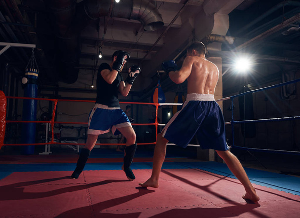 Two sporty boxers training kickboxing in ring  - Foto, afbeelding