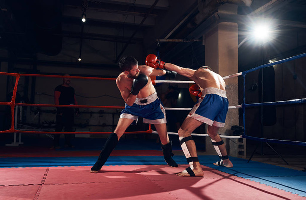 スポーツ クラブでリングでキック ボクシングのトレーニング 2 つの若いスポーツマンのキック ボクサー - 写真・画像