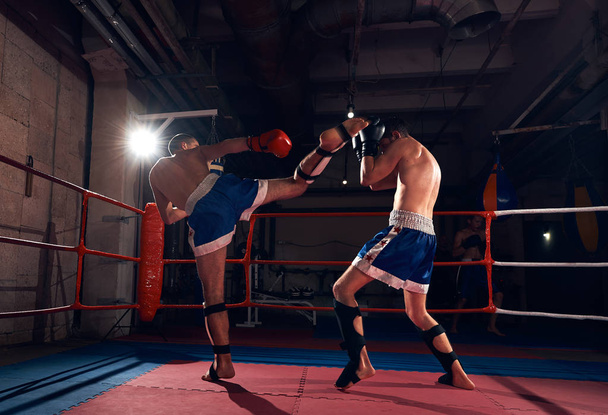 Kaksi nuorta urheilijaa potkunyrkkeilijät koulutus potkunyrkkeily kehässä urheiluseurassa
 - Valokuva, kuva