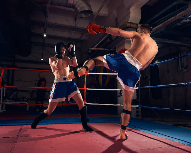 Kaksi aggressiivista nyrkkeilijät koulutus potkunyrkkeily kehässä urheiluseurassa
 - Valokuva, kuva