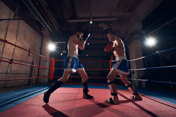 Πολεμικές μαχητής εξάσκηση kickboxing με πυγμαχώντας συνεργάτη - Φωτογραφία, εικόνα