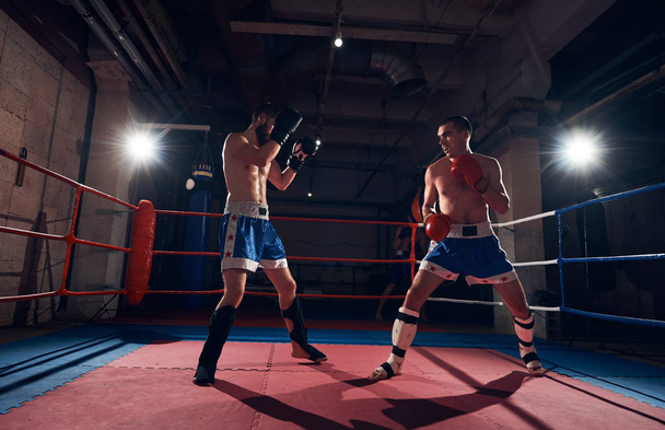 Twee woede kickboksers opleiding kickboksen in ring  - Foto, afbeelding