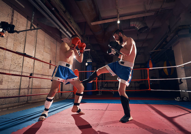 Два профессиональных боксера занимаются кикбоксингом на ринге
 - Фото, изображение
