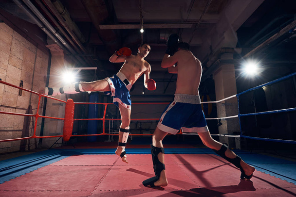 Kaksi lihaksikas mies nyrkkeilijät koulutus potkunyrkkeily kehässä urheiluseurassa
 - Valokuva, kuva