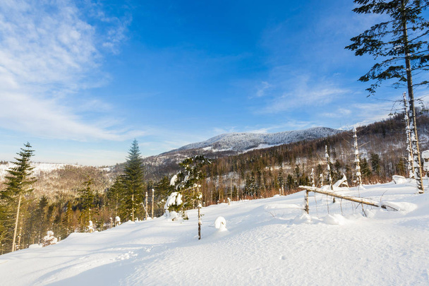 Hermoso panorama tomado en las montañas polacas Beskidy en el camino a Hala Lipowska durante el invierno nevado. Paisaje capturado durante el skitour trekking
. - Foto, Imagen