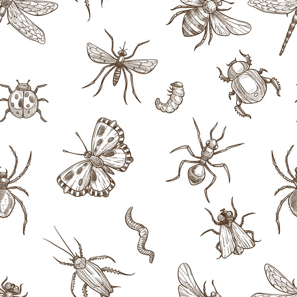 Insects that fly and creep monochrome sepia sketches seamless pattern. Big dragonfly, beautiful butterfly, tiny ant, scary spider, short worm, cute bee and round ladybug isolated cartoon flat vector illustrations set. - Vector, Imagen