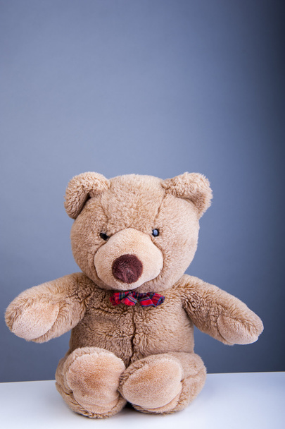Teddy bear - Foto, afbeelding