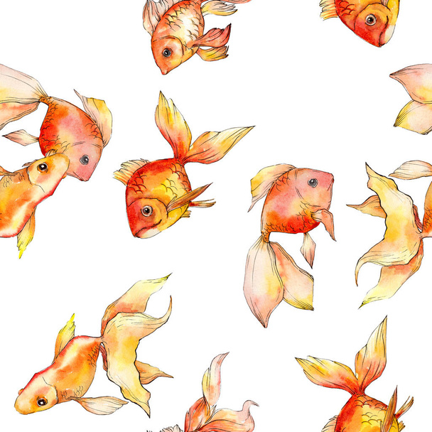 Watercolor aquatic colorful goldfishes isolated on white illustration set. Seamless background pattern. Fabric wallpaper print texture. - Фото, изображение