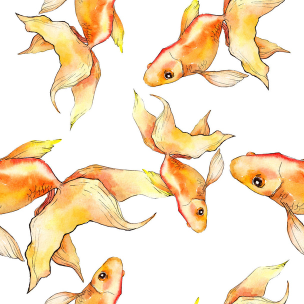 Watercolor aquatic colorful goldfishes isolated on white illustration set. Seamless background pattern. Fabric wallpaper print texture. - Фото, зображення