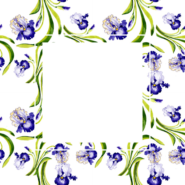 Blue iris floral botanical flower. Wild spring leaf wildflower isolated. Watercolor background illustration set. Watercolour drawing fashion aquarelle. Frame border ornament square. - Fotografie, Obrázek
