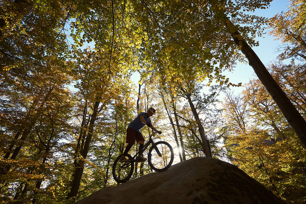 森で大きなボルダーにアクロバティックなトリックを作るライダーの自転車に乗って裁判に若い男性サイクリスト  - 写真・画像