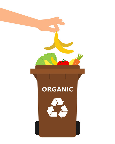 Käsi heittää banaaninkuoren roskakoriin. Kierrätys orgaanista jätettä, komposti, lajitella jätteet, lajittelu roskat, ympäristöystävällinen, käsite. Valkoinen tausta. Vektori kuva, tasainen tyyli
. - Vektori, kuva