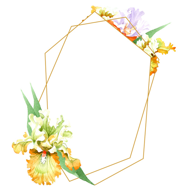 Orange white iris floral botanical flower. Wild spring leaf wildflower isolated. Watercolor background illustration set. Watercolour drawing fashion aquarelle isolated. Frame border ornament square. - Fotó, kép