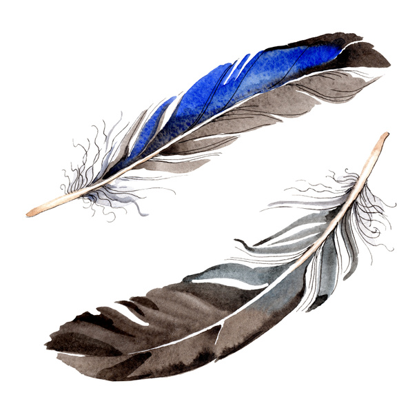 Watercolor blue and black bird feather from wing isolated. Aquarelle feather for background. Watercolour drawing fashion. Isolated feathers illustration element. - Fotó, kép