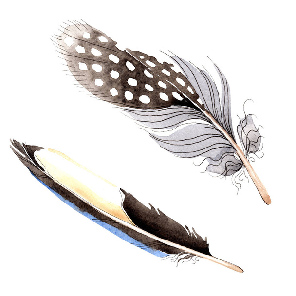 Watercolor blue and black bird feather from wing isolated. Aquarelle feather for background. Watercolour drawing fashion. Isolated feathers illustration element. - Foto, Imagem