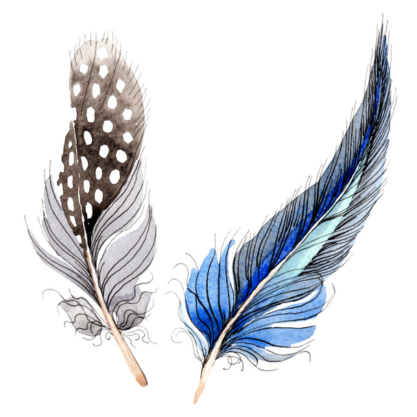Acuarela pluma de pájaro azul y negro de ala aislada. Pluma de Aquarelle para el fondo. Moda de dibujo en acuarela. Elemento ilustrativo plumas aisladas
. - Foto, Imagen