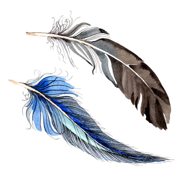 Watercolor blue and black bird feather from wing isolated. Aquarelle feather for background. Watercolour drawing fashion. Isolated feathers illustration element. - Photo, Image