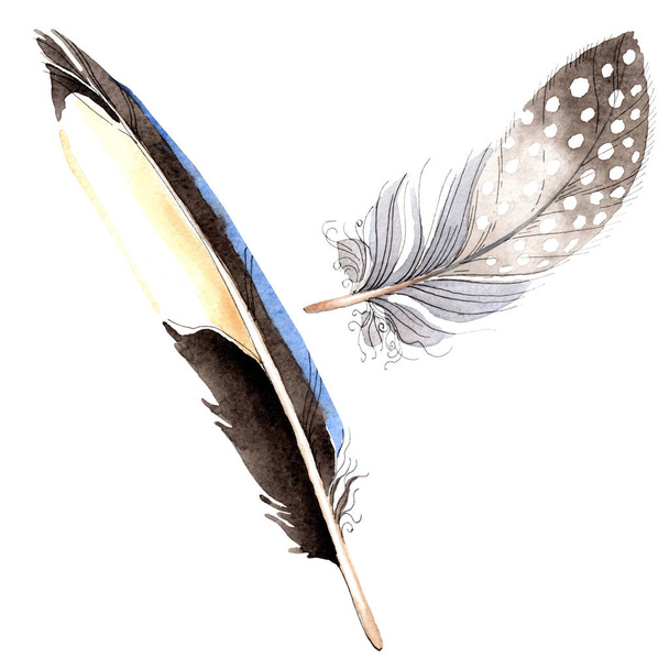 Acuarela pluma de pájaro azul y negro de ala aislada. Pluma de Aquarelle para el fondo. Moda de dibujo en acuarela. Elemento ilustrativo plumas aisladas
. - Foto, Imagen