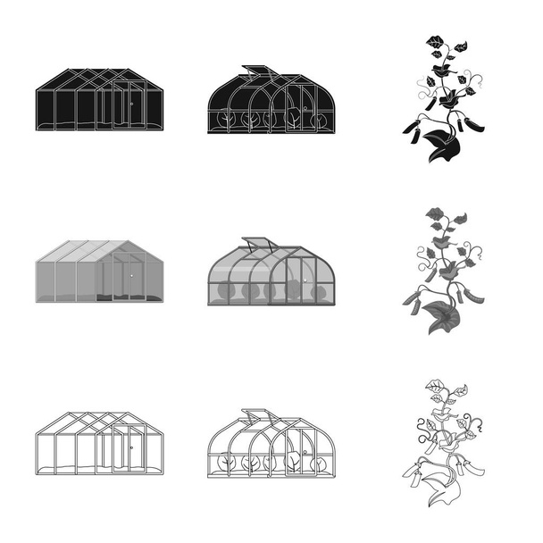 温室および植物のロゴのベクター イラストです。温室および庭の株式ベクトル イラスト集. - ベクター画像