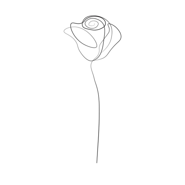 One line drawing rose flower, vector illustration - Vettoriali, immagini