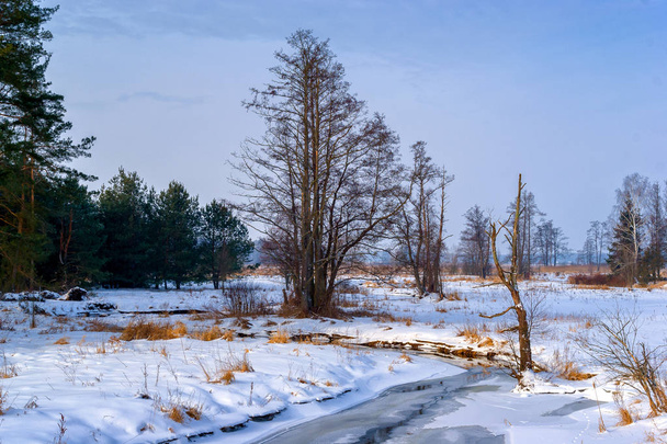 Zima na Podlasiu, Dolina Grnej Narwi - Foto, Bild