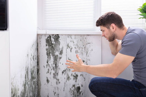 Side View Of A Young Man Looking At Mold On Wall - Фото, изображение