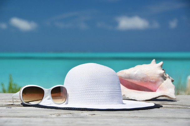 Aurinkolasit, hattu ja kotilo merta vasten. Exuma, Bahama
 - Valokuva, kuva