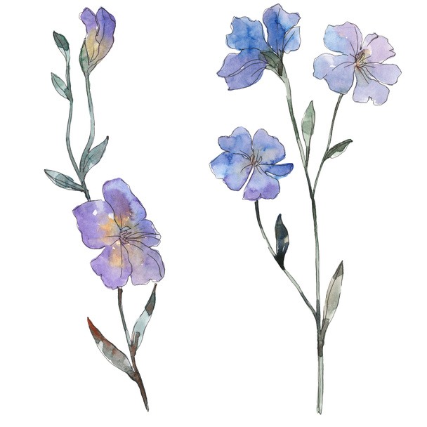 Purple flax floral botanical flower. Wild spring leaf wildflower isolated. Watercolor background illustration set. Watercolour drawing fashion aquarelle. Isolated flax illustration element. - Photo, image