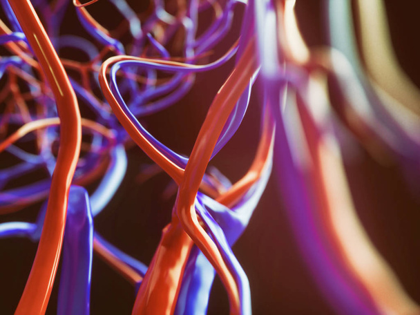 Naczynia krwionośne człowieka - zbliżenie - Rendering 3D - Zdjęcie, obraz