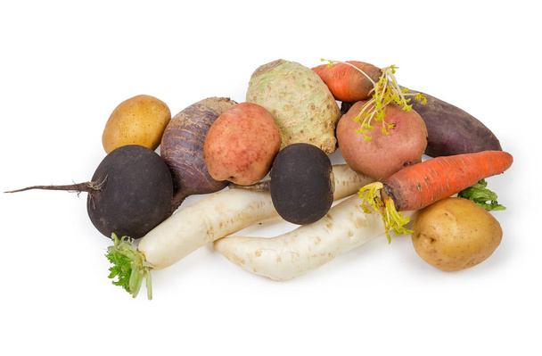 Montón de diferentes verduras de raíz sin cocer lavadas enteras en su piel sobre un fondo blanco
 - Foto, imagen