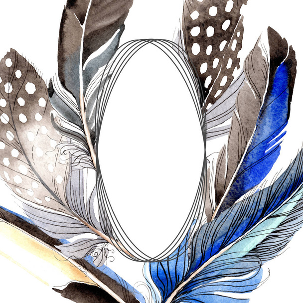 Bird feathers from wing isolated on white. Watercolor background illustration set. Frame border ornament. - Φωτογραφία, εικόνα