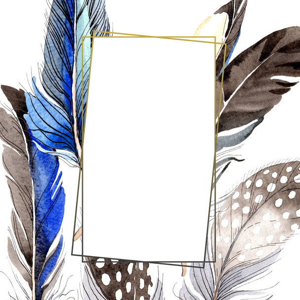 Bird feathers from wing isolated on white. Watercolor background illustration set. Frame border ornament. - 写真・画像