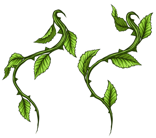 Desenhos animados gráfico detalhado ramo rosa verde, caule com folhas e espinhos. Isolado em fundo branco. Conjunto de ícones vetoriais. Vol. 4
 - Vetor, Imagem