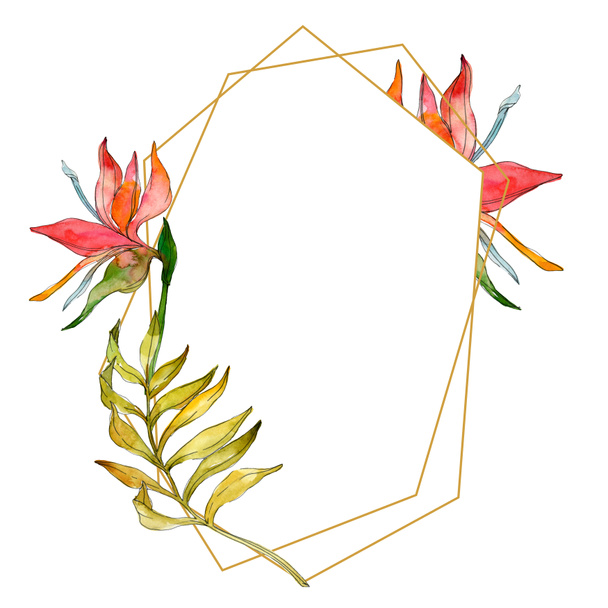 Tropical floral botanical flowers. Exotic plant leaf isolated. Watercolor background illustration set. Watercolour drawing fashion aquarelle isolated. Frame border ornament square. - Photo, Image