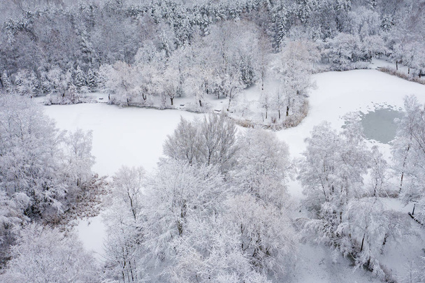 Widok z lotu ptaka zimy piękny krajobraz z drzewa pokryte szronu i śniegu. Zimowej scenerii z góry. Krajobraz Zdjęcia zrobione za pomocą dronów. - Zdjęcie, obraz