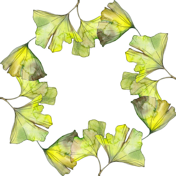 Green and yellow ginkgo biloba foliage watercolor background illustration set.  Frame border ornament with copy space. - Φωτογραφία, εικόνα