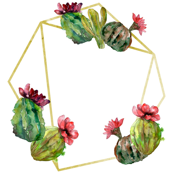 Green cactus floral botanical flower. Wild spring leaf wildflower isolated. Watercolor background illustration set. Watercolour drawing fashion aquarelle. Frame border ornament square. - Foto, Imagem