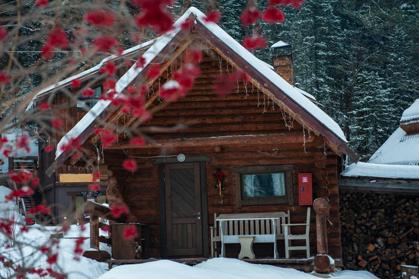 Winter holiday house in forest. - Photo, Image