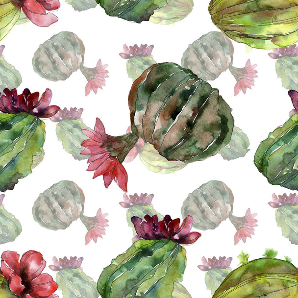 Zöld kaktusz virág botanikai virág. Vad tavaszi vadvirág elszigetelt. Akvarell illusztráció készlet. Akvarell rajz divat aquarelle. Varratmentes háttérben minta. Anyagot a nyomtatási textúrát. - Fotó, kép
