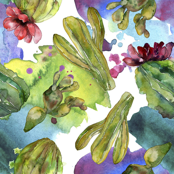 Green cactus floral botanical flower. Wild spring wildflower isolated. Watercolor illustration set. Watercolour drawing fashion aquarelle. Seamless background pattern. Fabric wallpaper print texture. - Fotografie, Obrázek
