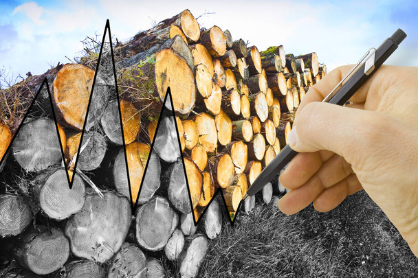 Handzeichnung einer Grafik über den Holzmarkt - Konzeptbild - Foto, Bild