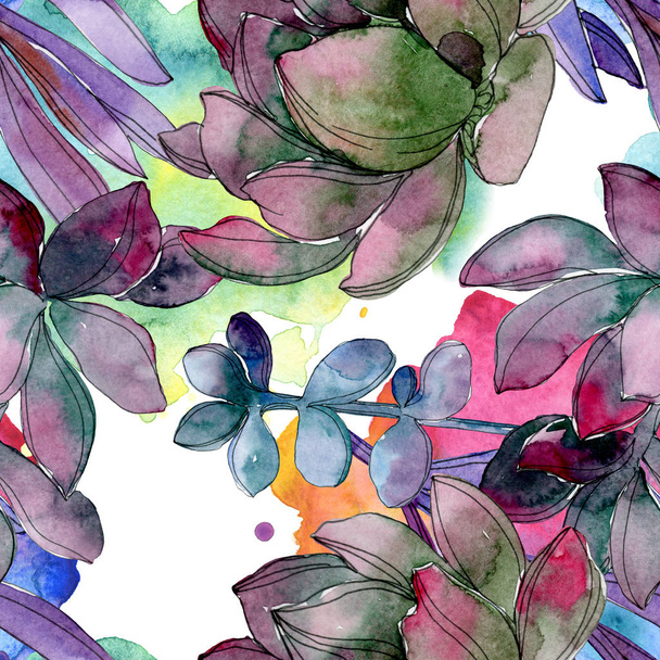 Succulent floral botanical flower. Wild spring leaf isolated. Watercolor illustration set. Watercolour drawing fashion aquarelle. Seamless background pattern. Fabric wallpaper print texture. - Photo, Image