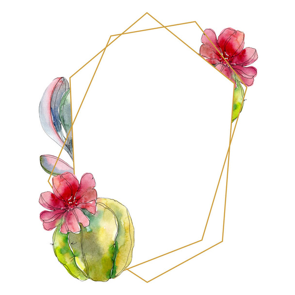 Succulent botanical flowers. Watercolor background illustration set. Frame border ornament. - Foto, afbeelding