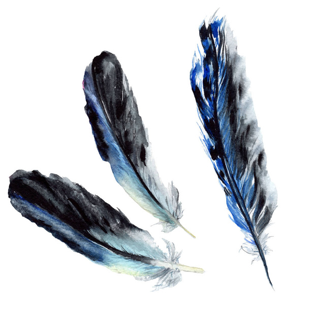 Blue and black bird feathers from wing isolated. Watercolor background illustration set. Isolated feathers illustration elements. - Фото, зображення