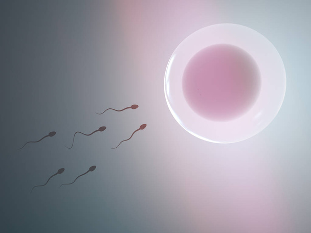 Sperms swim to a egg cell - 3D Rendering - Photo, Image