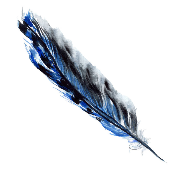 Pluma de pájaro azul y negro de ala aislada. Ilustración de fondo acuarela. Elemento de ilustración de plumas aisladas
. - Foto, imagen