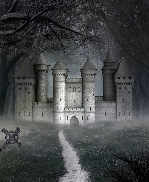 neblige Fantasielandschaft mit einem Schloss inmitten eines dunklen Waldes - 3D-Illustration - Foto, Bild