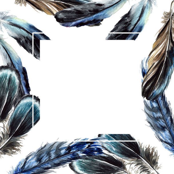 Plumas de pájaro azul y negro aisladas del ala. Conjunto de ilustración de fondo acuarela. Marco ornamento borde con espacio de copia
. - Foto, Imagen